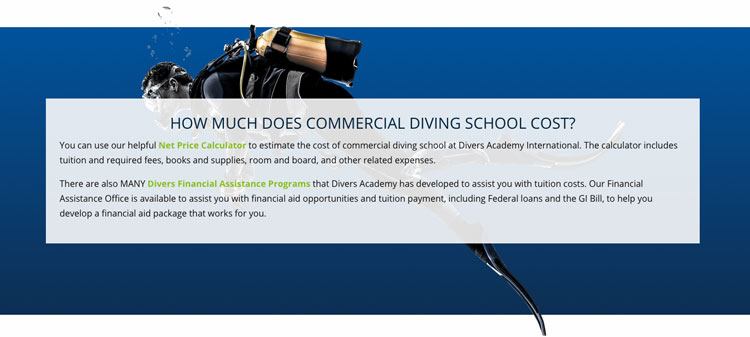 Divers Academy Landing Page